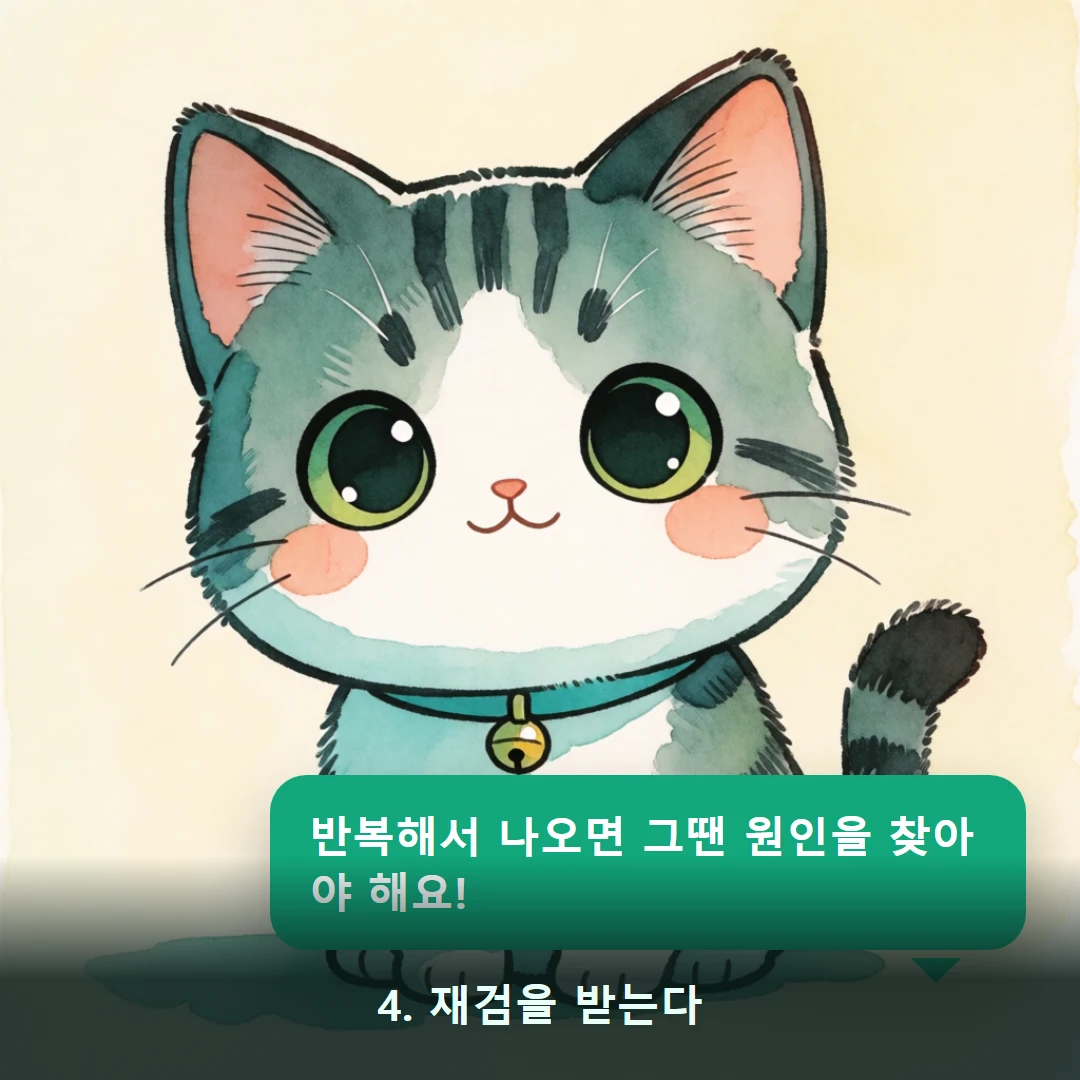 웹툰 4컷 — 4. 재검을 받는다 (반복해서 나오면 그땐 원인을 찾아야 해요!)