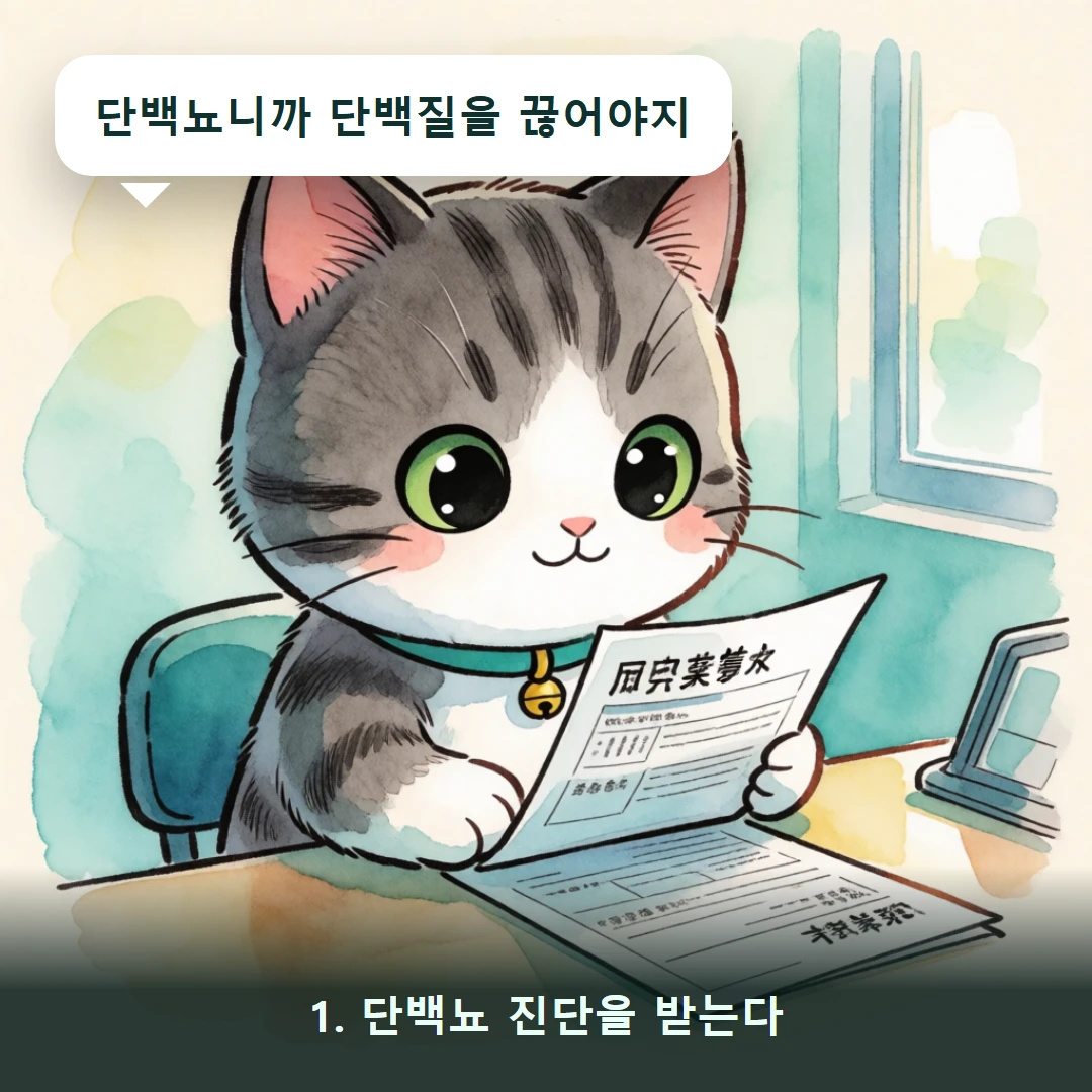 웹툰 1컷 — 1. 단백뇨 진단을 받는다 (단백뇨니까 단백질을 끊어야지)