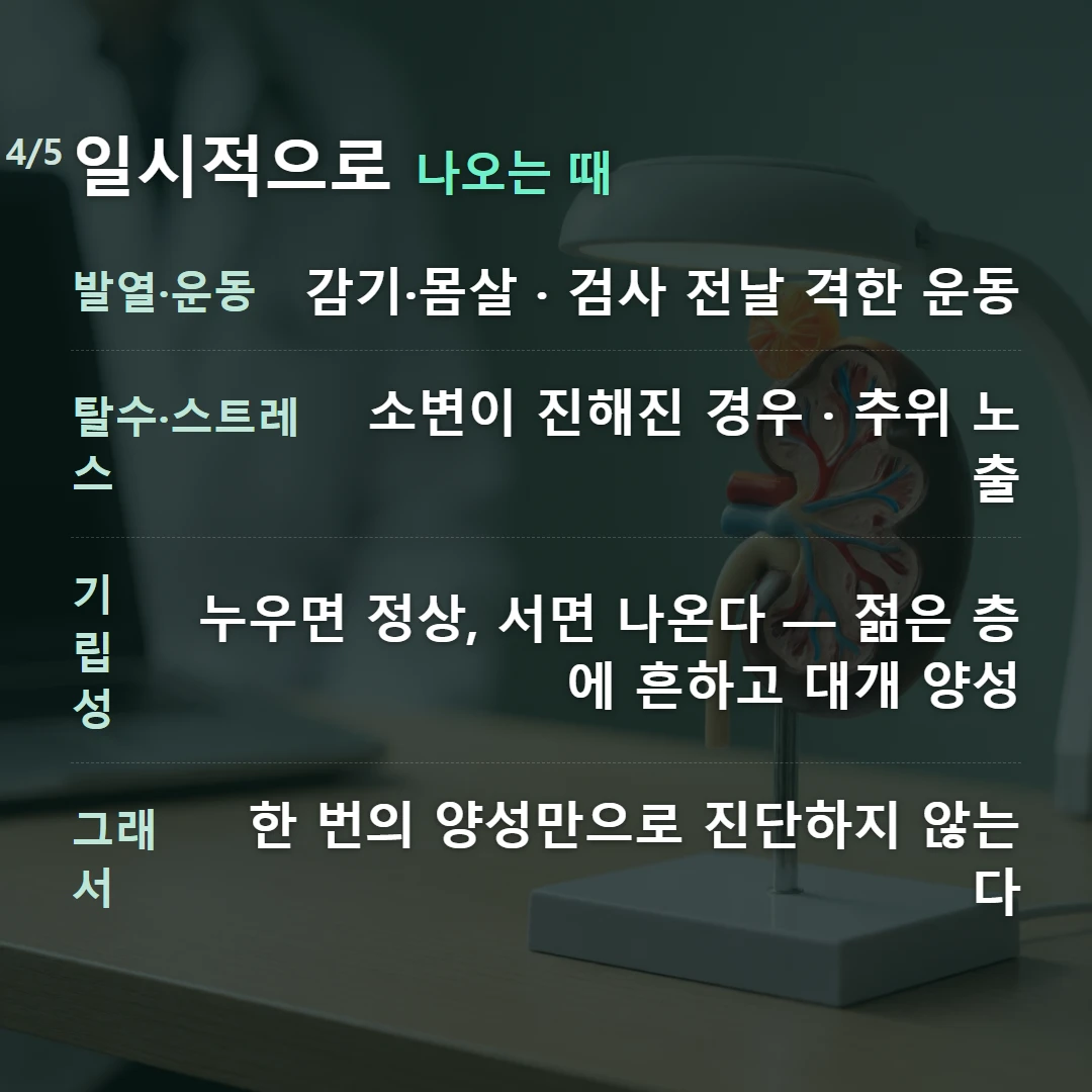 일시적으로 나오는 때 — 발열·운동 감기·몸살 · 검사 전날 격한 운동, 탈수·스트레스 소변이 진해진 경우 · 추위 노출, 기립성 누우면 정상, 서면 나온다 — 젊은 층에 흔하고 대개 양성, 그래서 한 번의 양성만으로 진단하지 않는다