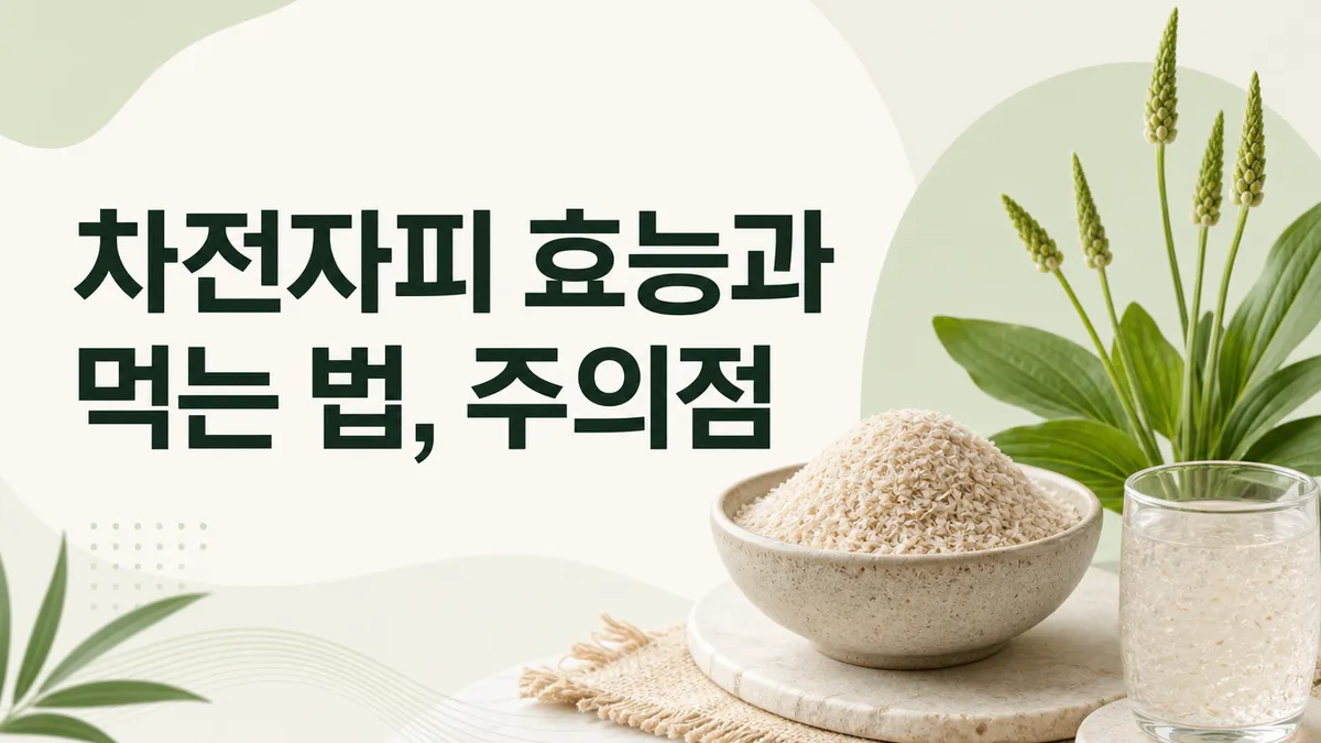 차전자피 효능과 먹는 법, 근거와 안전 수칙까지