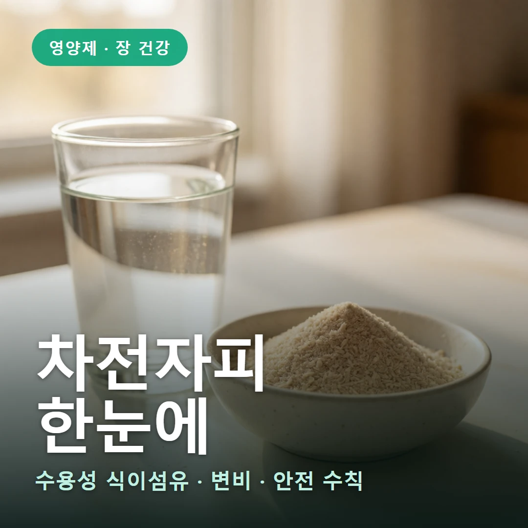 차전자피 요약 표지 — 수용성 식이섬유 · 변비 · 안전 수칙