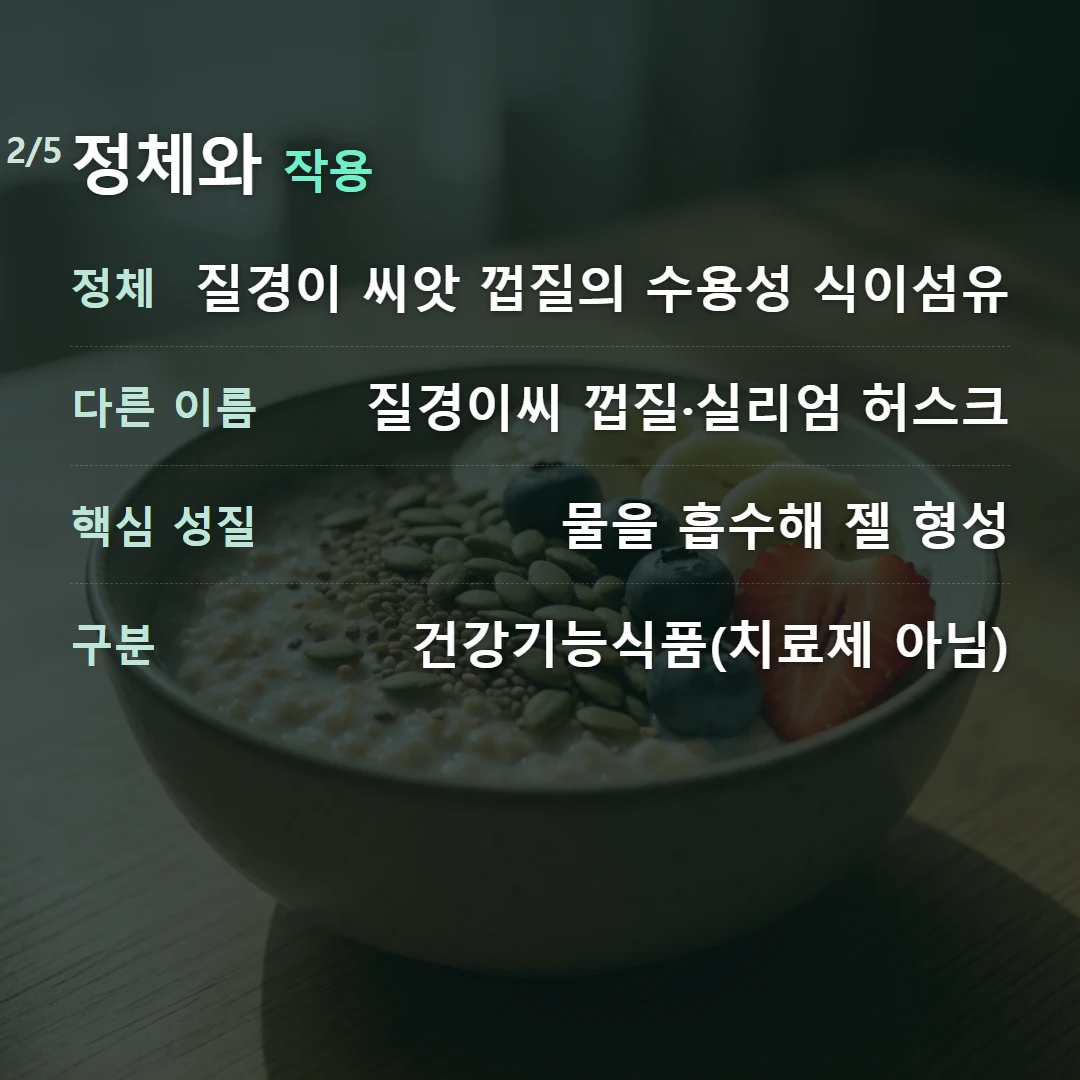 정체와 작용 — 정체 질경이 씨앗 껍질의 수용성 식이섬유, 다른 이름 질경이씨 껍질·실리엄 허스크, 핵심 성질 물을 흡수해 젤 형성, 구분 건강기능식품(치료제 아님)