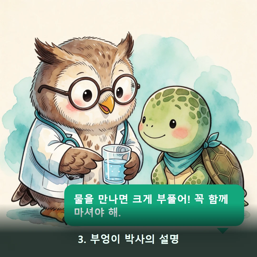 웹툰 3컷 — 3. 부엉이 박사의 설명 (물을 만나면 크게 부풀어! 꼭 함께 마셔야 해.)