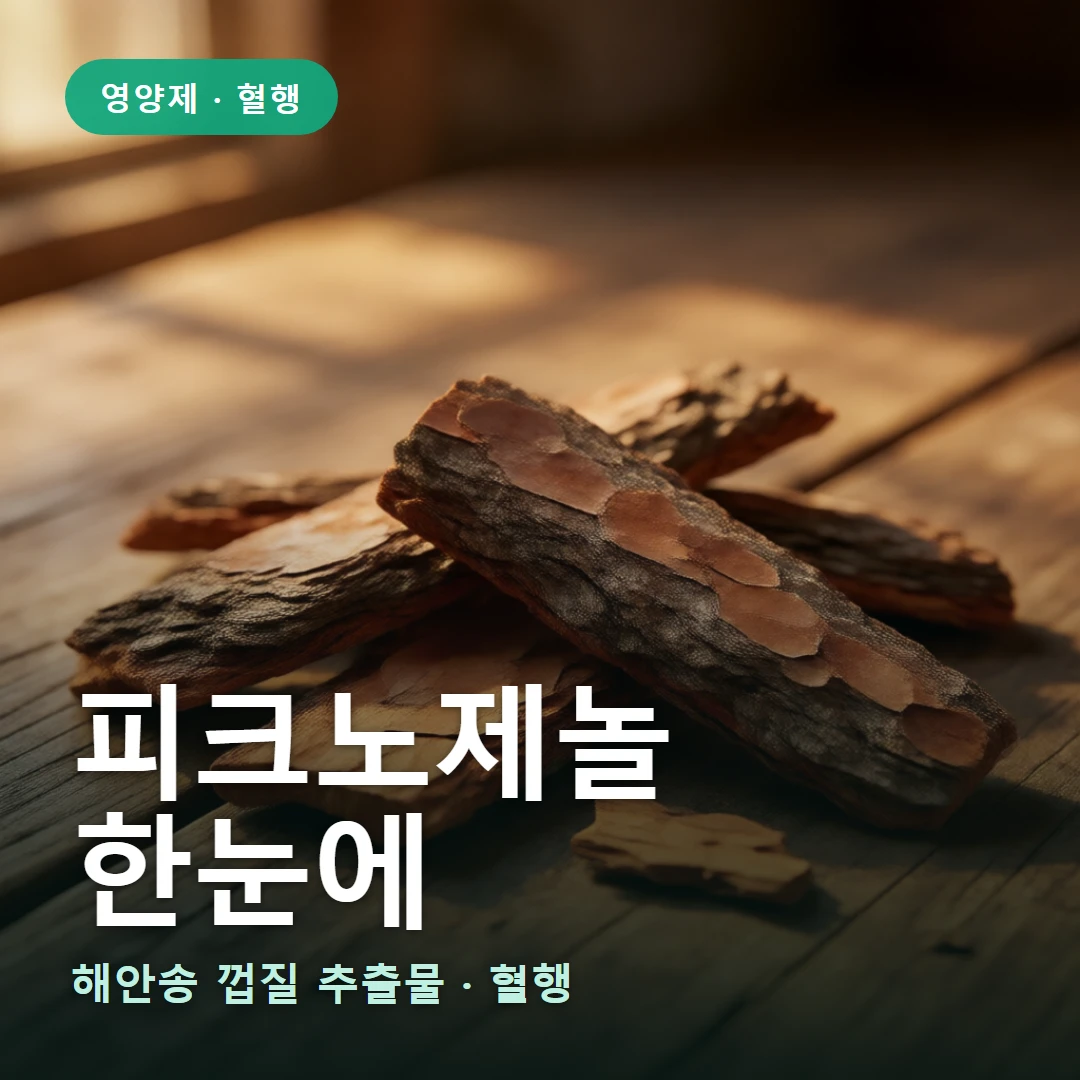 피크노제놀 요약 표지 — 해안송 껍질 추출물 · 혈행