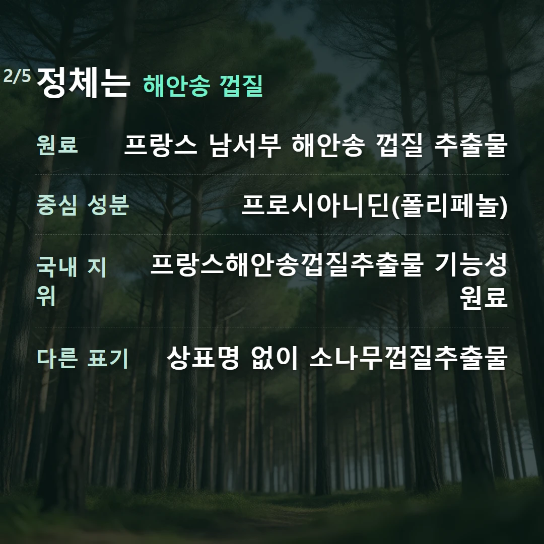 정체는 해안송 껍질 — 원료 프랑스 남서부 해안송 껍질 추출물, 중심 성분 프로시아니딘(폴리페놀), 국내 지위 프랑스해안송껍질추출물 기능성 원료, 다른 표기 상표명 없이 소나무껍질추출물