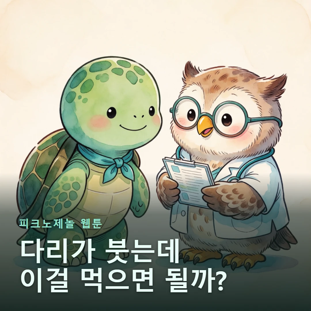 피크노제놀 웹툰 표지 — 다리가 붓는데 이걸 먹으면 될까?