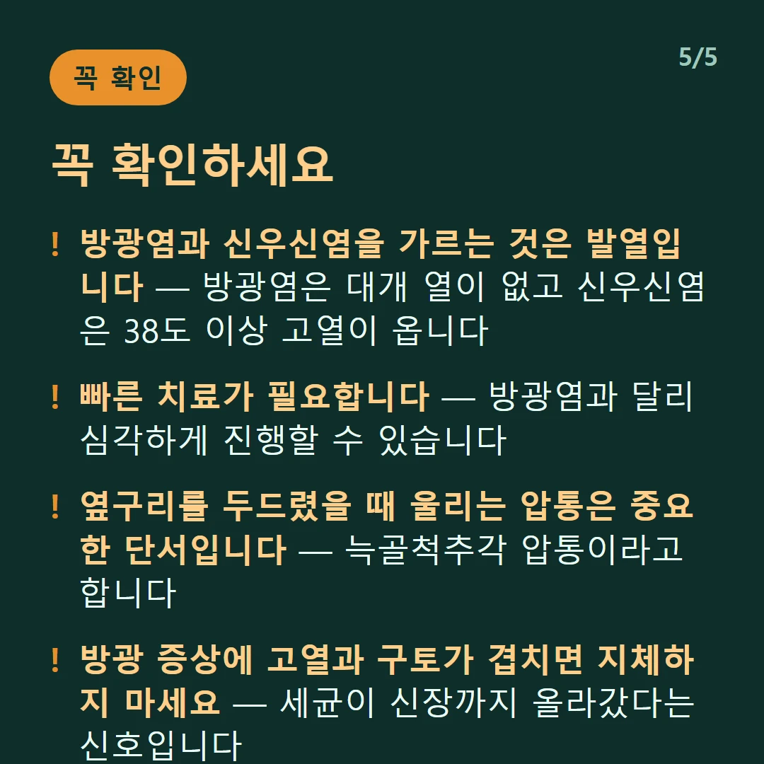 꼭 확인하세요 — 방광염과 신우신염을 가르는 것은 발열입니다 — 방광염은 대개 열이 없고 신우신염은 38도 이상 고열이 옵니다 / 빠른 치료가 필요합니다 — 방광염과 달리 심각하게 진행할 수 있습니다 / 옆구리를 두드렸을 때 울리는 압통은 중요한 단서입니다 — 늑골척추각 압통이라고 합니다 / 방광 증상에 고열과 구토가 겹치면 지체하지 마세요 — 세균이 신장까지 올라갔다는 신호입니다