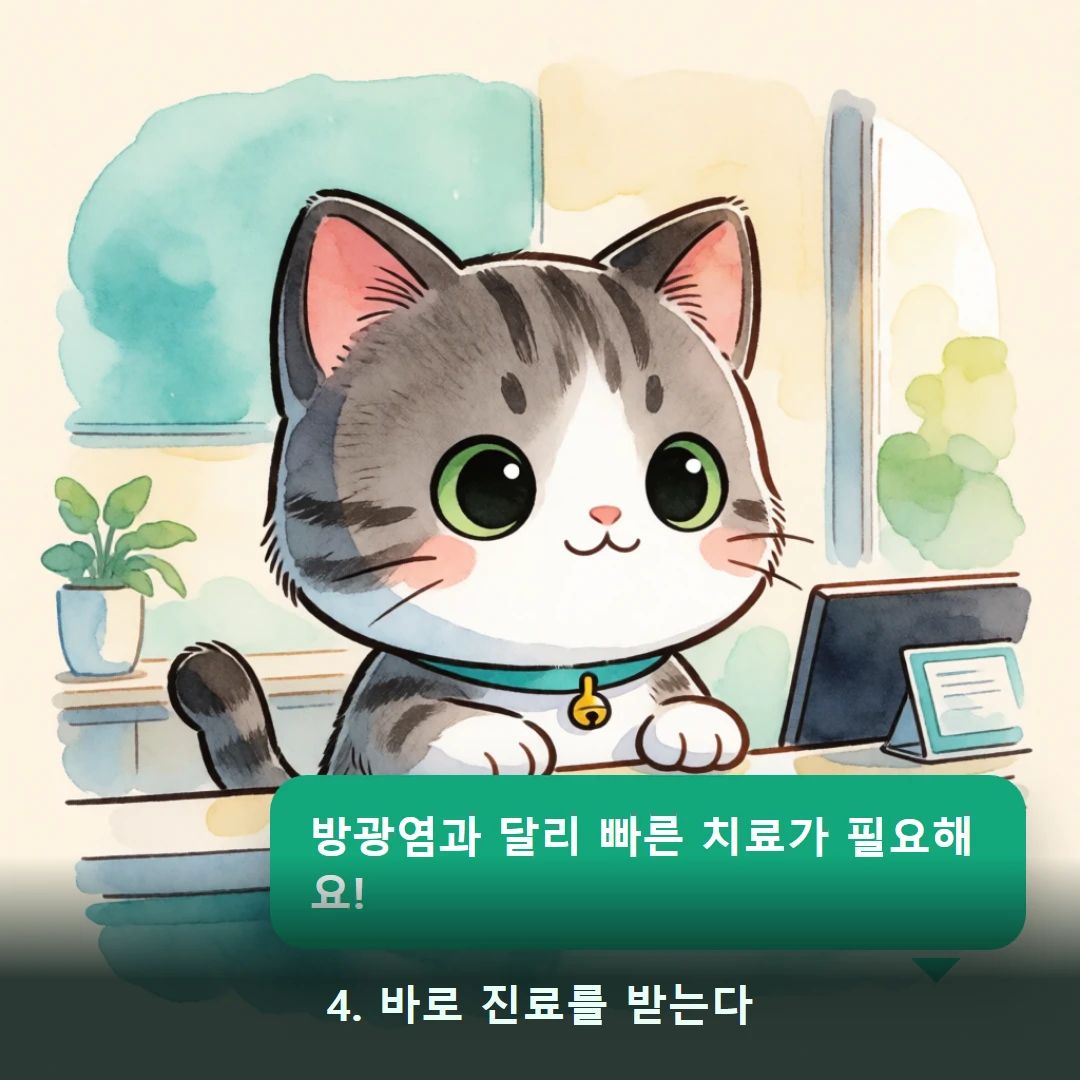 웹툰 4컷 — 4. 바로 진료를 받는다 (방광염과 달리 빠른 치료가 필요해요!)