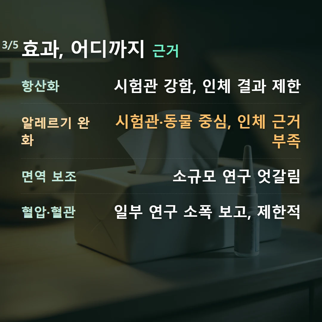 효과, 어디까지 근거 — 항산화 시험관 강함, 인체 결과 제한, 알레르기 완화 시험관·동물 중심, 인체 근거 부족, 면역 보조 소규모 연구 엇갈림, 혈압·혈관 일부 연구 소폭 보고, 제한적