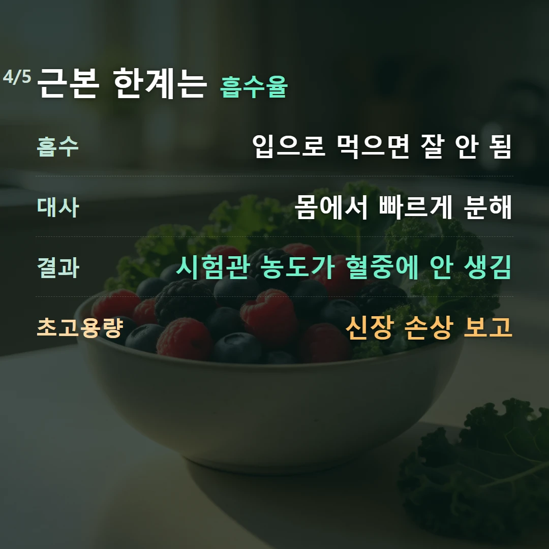 근본 한계는 흡수율 — 흡수 입으로 먹으면 잘 안 됨, 대사 몸에서 빠르게 분해, 결과 시험관 농도가 혈중에 안 생김, 초고용량 신장 손상 보고