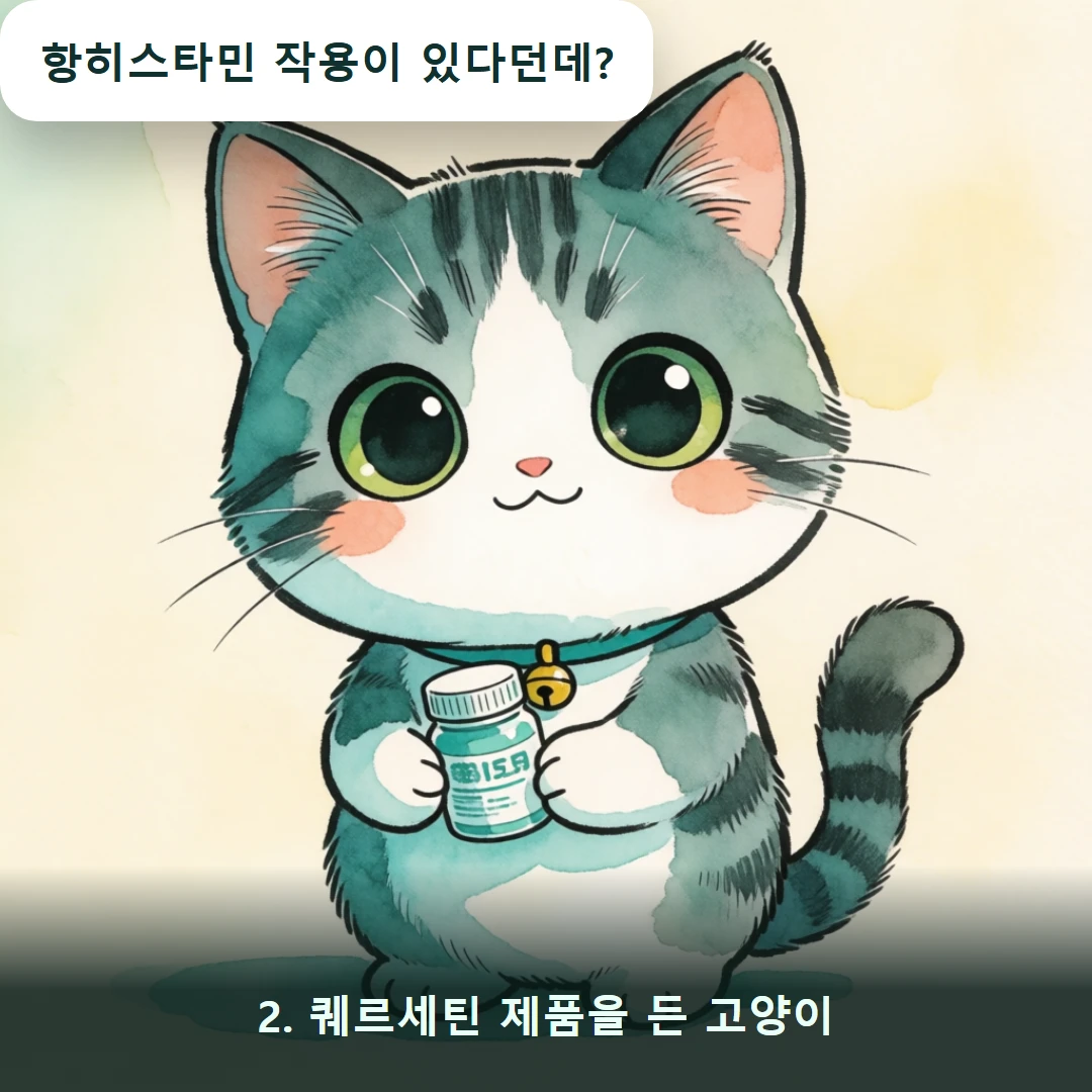 웹툰 2컷 — 2. 퀘르세틴 제품을 든 고양이 (항히스타민 작용이 있다던데?)