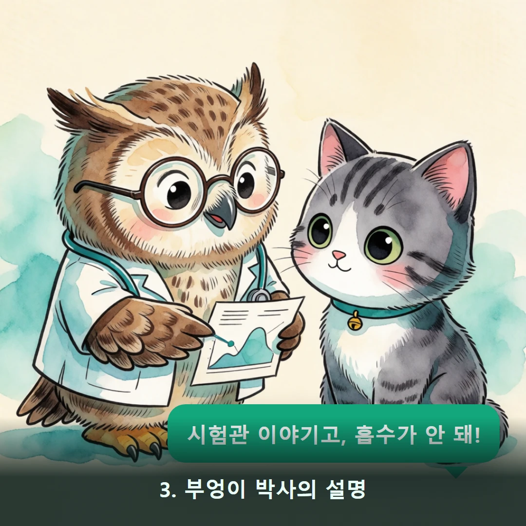 웹툰 3컷 — 3. 부엉이 박사의 설명 (시험관 이야기고, 흡수가 안 돼!)