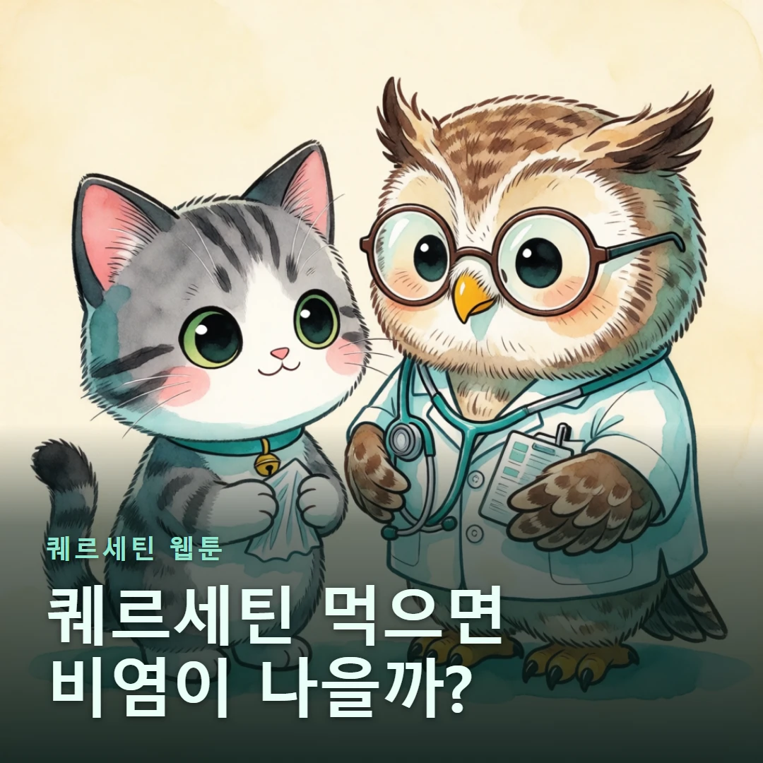 퀘르세틴 웹툰 표지 — 퀘르세틴 먹으면 비염이 나을까?