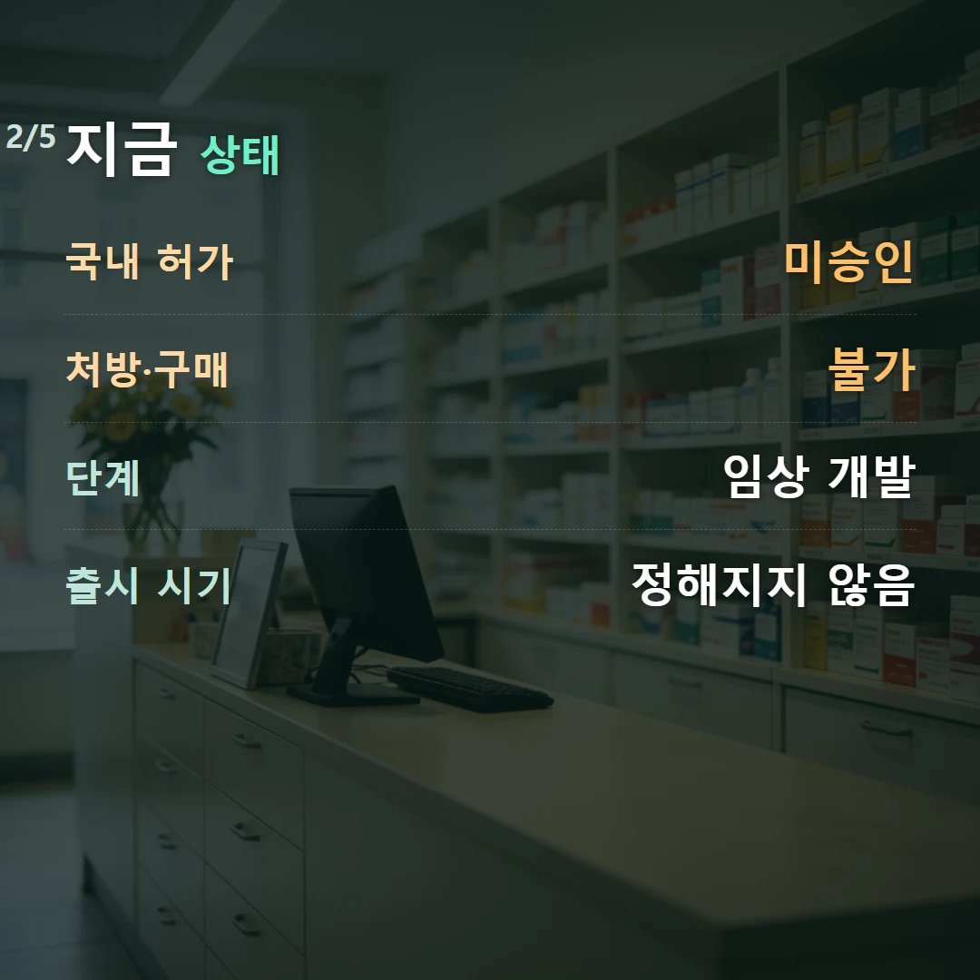 지금 상태 — 국내 허가 미승인, 처방·구매 불가, 단계 임상 개발, 출시 시기 정해지지 않음