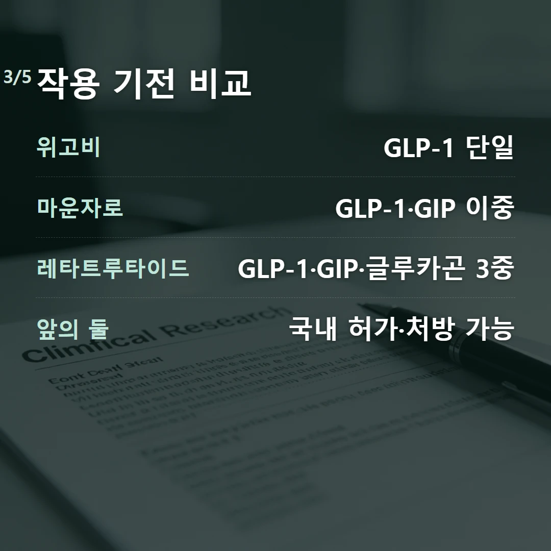 작용 기전 비교 — 위고비 GLP-1 단일, 마운자로 GLP-1·GIP 이중, 레타트루타이드 GLP-1·GIP·글루카곤 3중, 앞의 둘 국내 허가·처방 가능