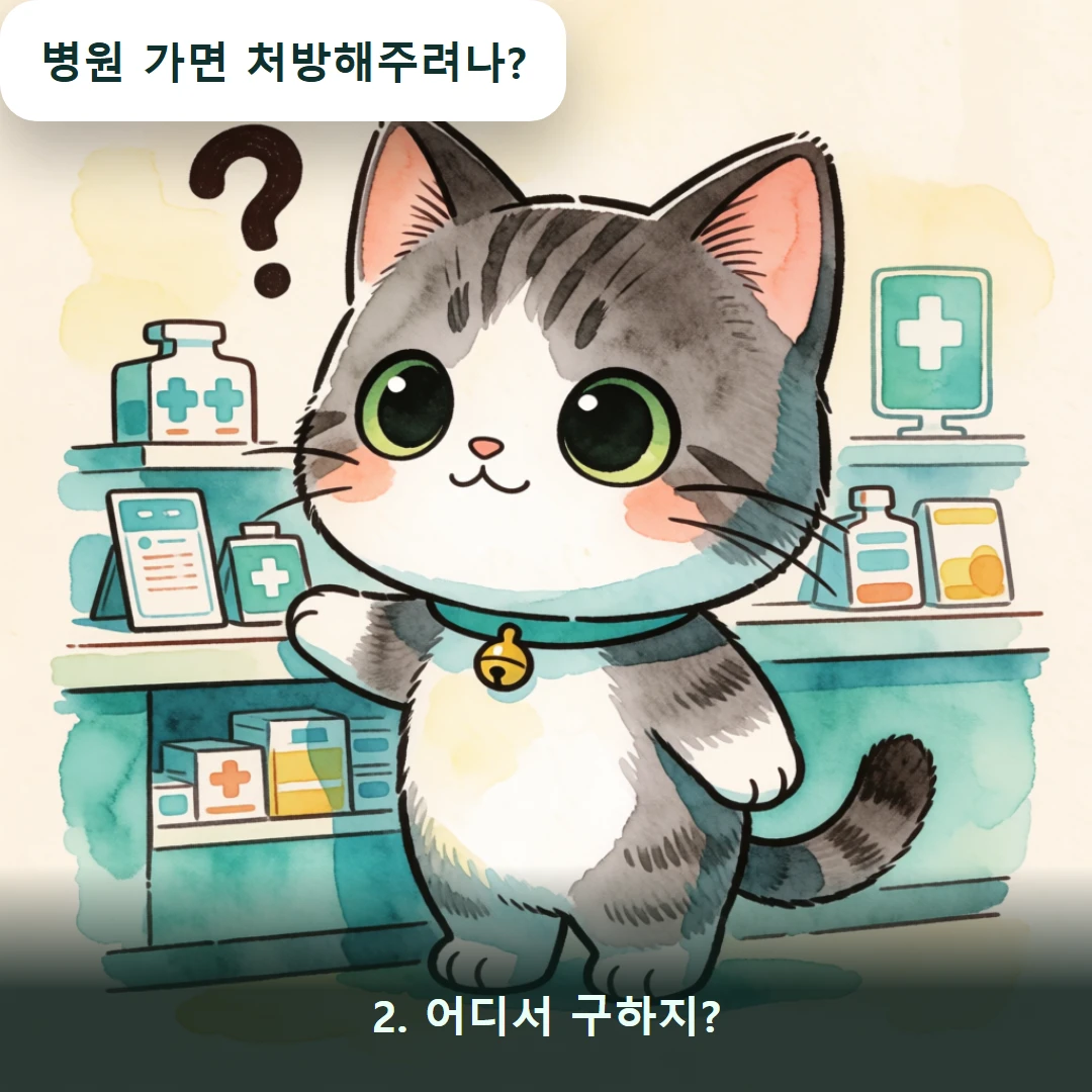 웹툰 2컷 — 2. 어디서 구하지? (병원 가면 처방해주려나?)