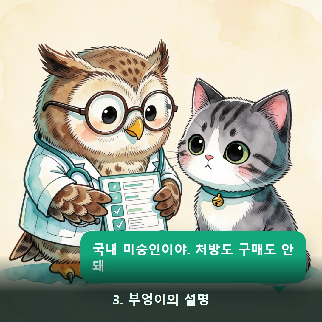 웹툰 3컷 — 3. 부엉이의 설명 (국내 미승인이야. 처방도 구매도 안 돼)