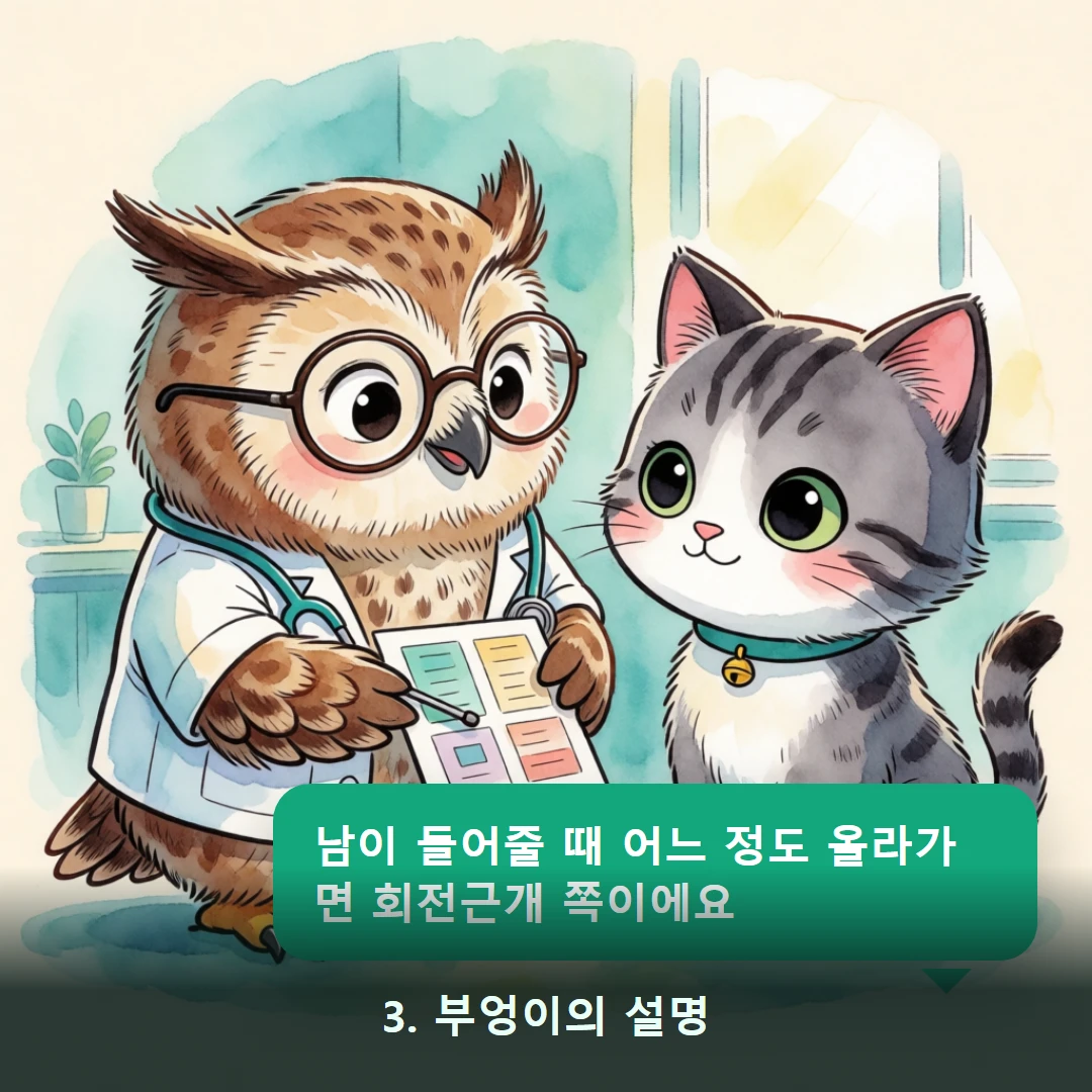 웹툰 3컷 — 3. 부엉이의 설명 (남이 들어줄 때 어느 정도 올라가면 회전근개 쪽이에요)