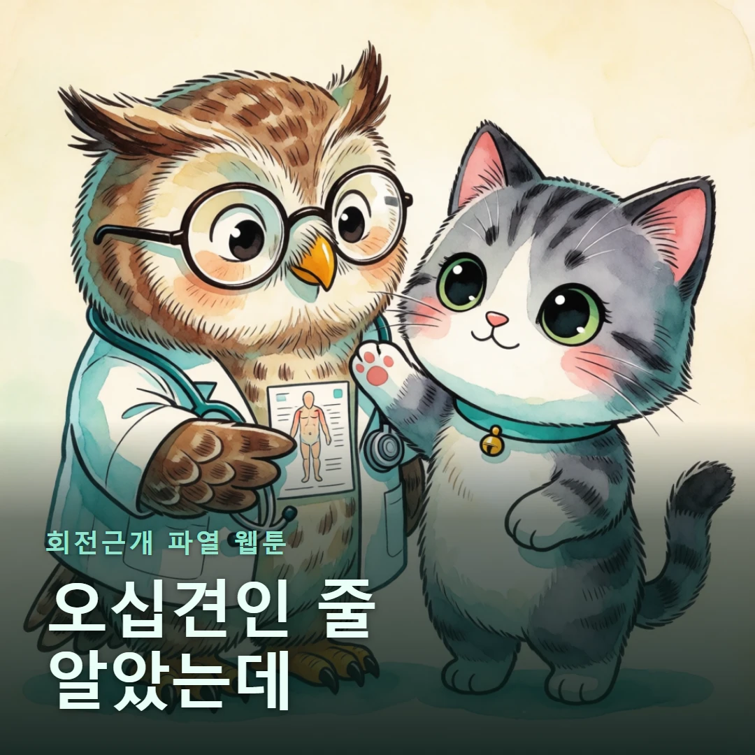 회전근개 파열 웹툰 표지 — 오십견인 줄 알았는데
