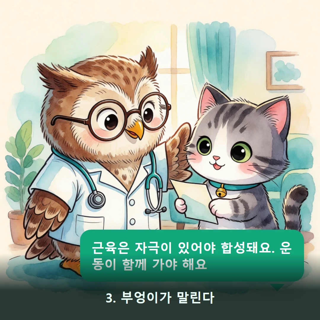 웹툰 3컷 — 3. 부엉이가 말린다 (근육은 자극이 있어야 합성돼요. 운동이 함께 가야 해요)