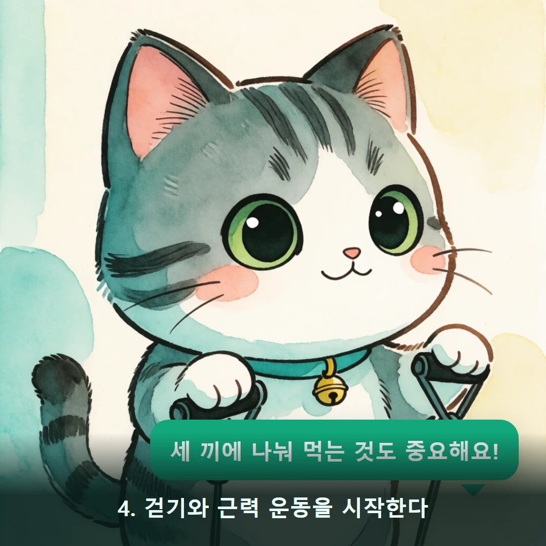 웹툰 4컷 — 4. 걷기와 근력 운동을 시작한다 (세 끼에 나눠 먹는 것도 중요해요!)