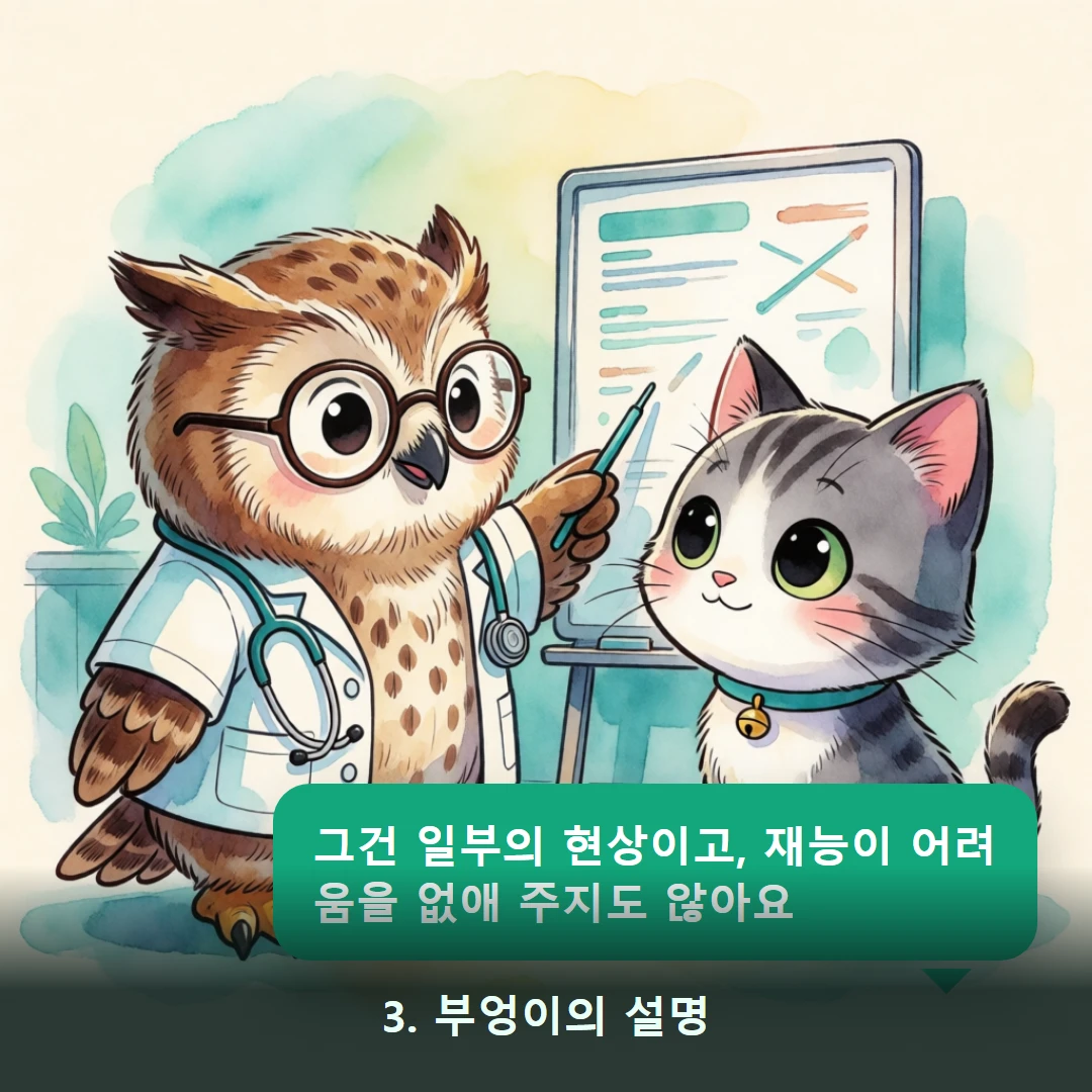 웹툰 3컷 — 3. 부엉이의 설명 (그건 일부의 현상이고, 재능이 어려움을 없애 주지도 않아요)