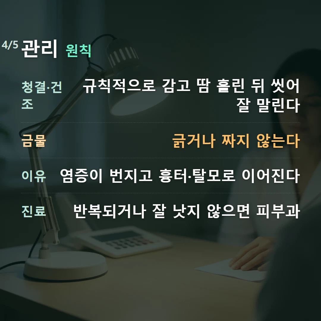관리 원칙 — 청결·건조 규칙적으로 감고 땀 흘린 뒤 씻어 잘 말린다, 금물 긁거나 짜지 않는다, 이유 염증이 번지고 흉터·탈모로 이어진다, 진료 반복되거나 잘 낫지 않으면 피부과