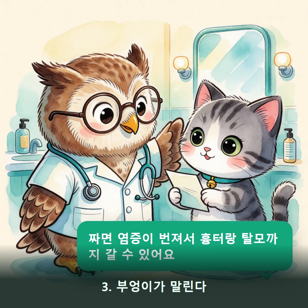 웹툰 3컷 — 3. 부엉이가 말린다 (짜면 염증이 번져서 흉터랑 탈모까지 갈 수 있어요)