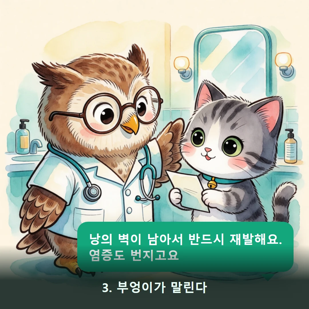 웹툰 3컷 — 3. 부엉이가 말린다 (낭의 벽이 남아서 반드시 재발해요. 염증도 번지고요)