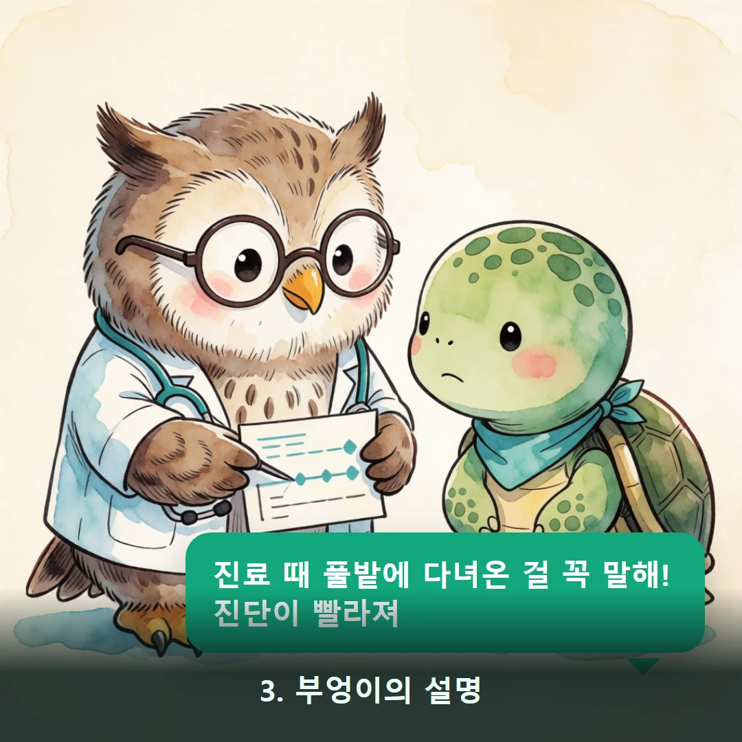웹툰 3컷 — 3. 부엉이의 설명 (진료 때 풀밭에 다녀온 걸 꼭 말해! 진단이 빨라져)