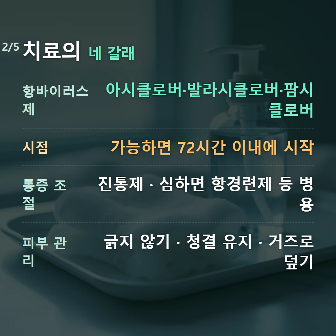 치료의 네 갈래 — 항바이러스제 아시클로버·발라시클로버·팜시클로버, 시점 가능하면 72시간 이내에 시작, 통증 조절 진통제 · 심하면 항경련제 등 병용, 피부 관리 긁지 않기 · 청결 유지 · 거즈로 덮기