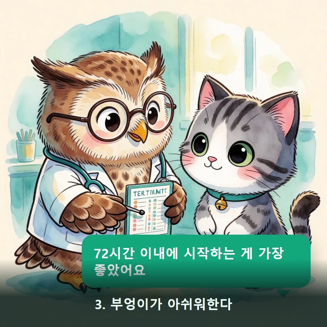 웹툰 3컷 — 3. 부엉이가 아쉬워한다 (72시간 이내에 시작하는 게 가장 좋았어요)