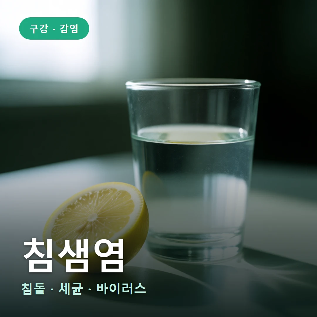 침샘염 요약 표지 — 침돌 · 세균 · 바이러스