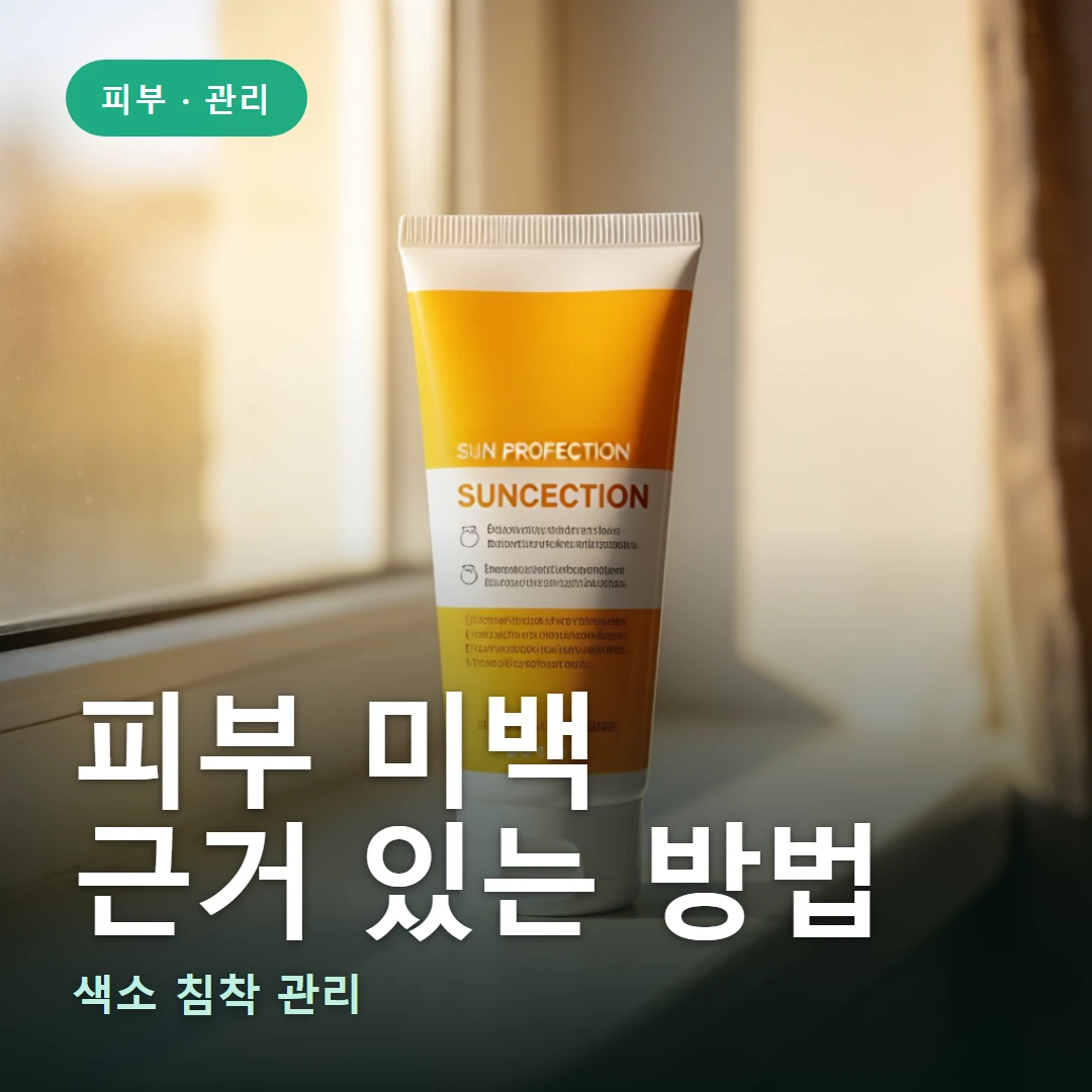 피부 미백 요약 표지 — 색소 침착 관리