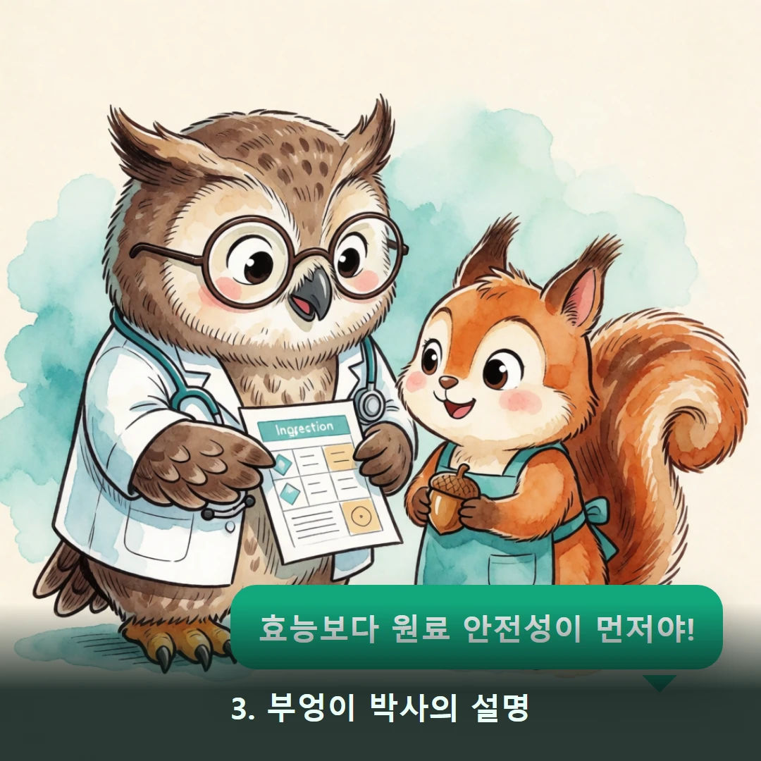 웹툰 3컷 — 3. 부엉이 박사의 설명 (효능보다 원료 안전성이 먼저야!)