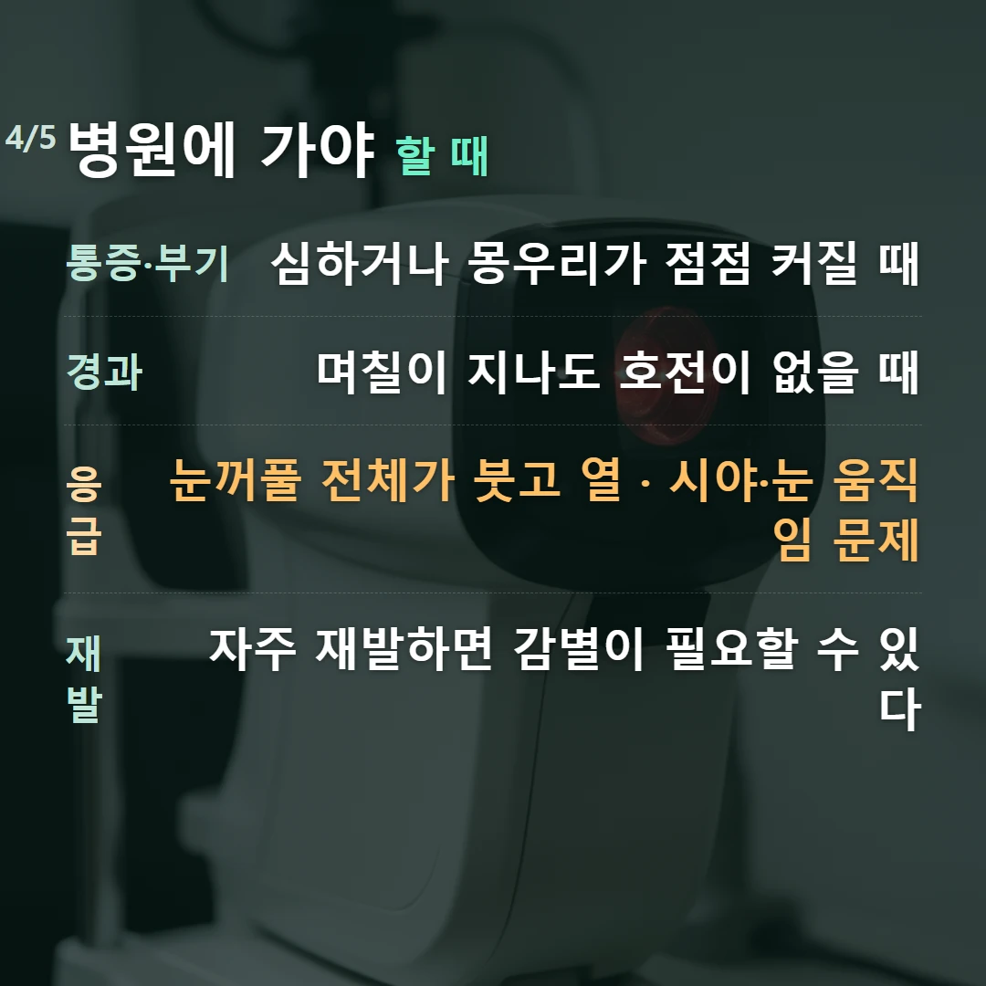 병원에 가야 할 때 — 통증·부기 심하거나 몽우리가 점점 커질 때, 경과 며칠이 지나도 호전이 없을 때, 응급 눈꺼풀 전체가 붓고 열 · 시야·눈 움직임 문제, 재발 자주 재발하면 감별이 필요할 수 있다