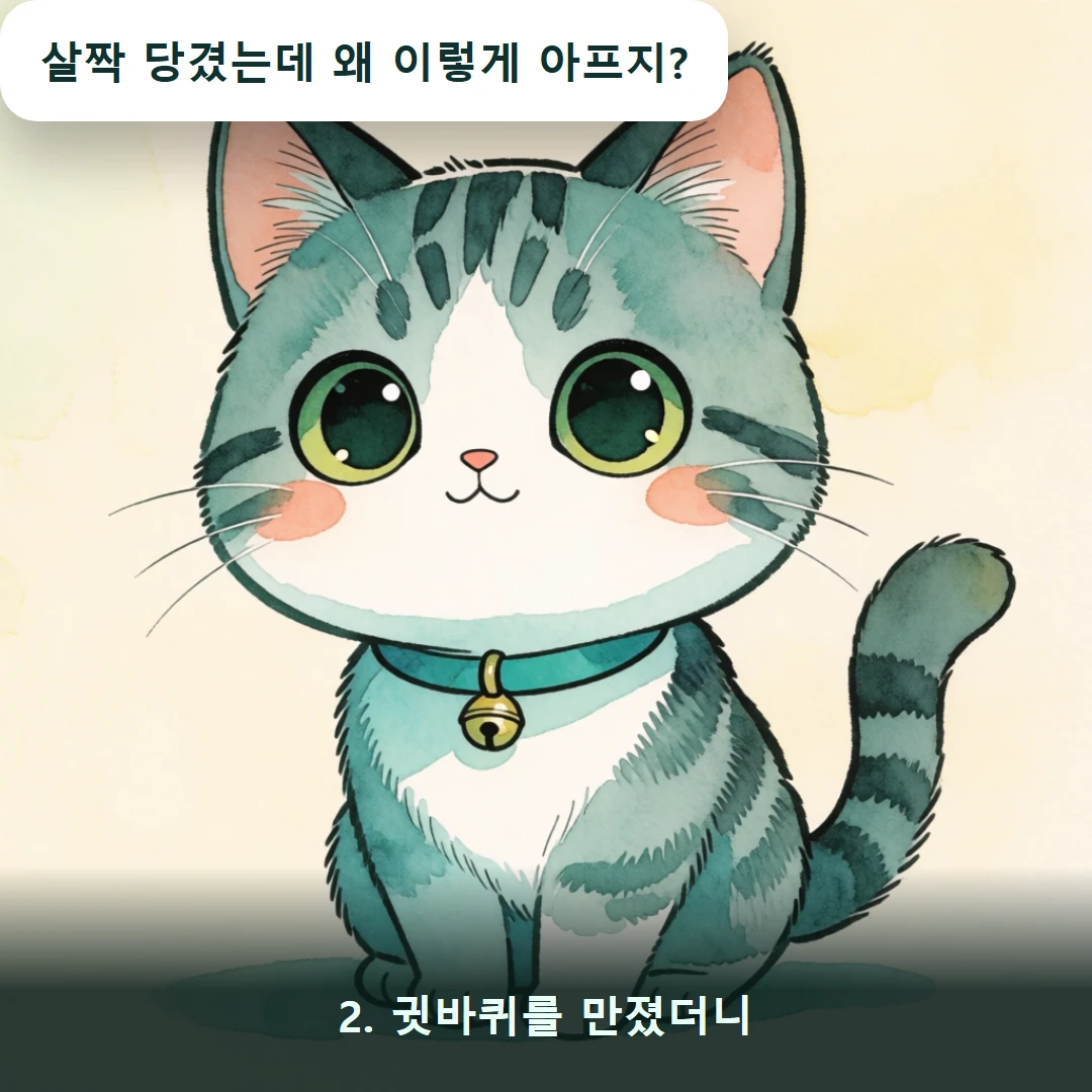 웹툰 2컷 — 2. 귓바퀴를 만졌더니 (살짝 당겼는데 왜 이렇게 아프지?)