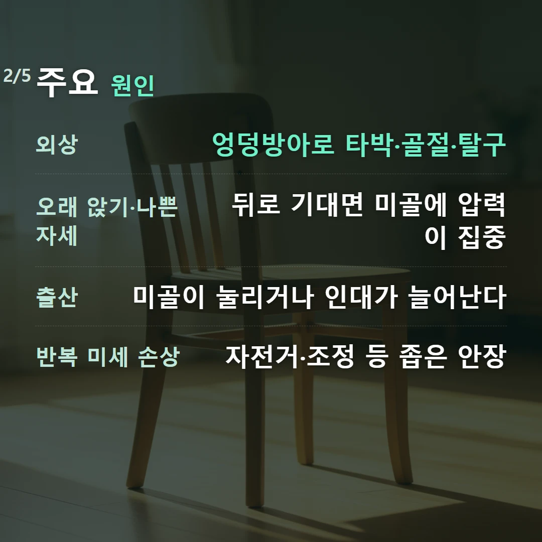 주요 원인 — 외상 엉덩방아로 타박·골절·탈구, 오래 앉기·나쁜 자세 뒤로 기대면 미골에 압력이 집중, 출산 미골이 눌리거나 인대가 늘어난다, 반복 미세 손상 자전거·조정 등 좁은 안장