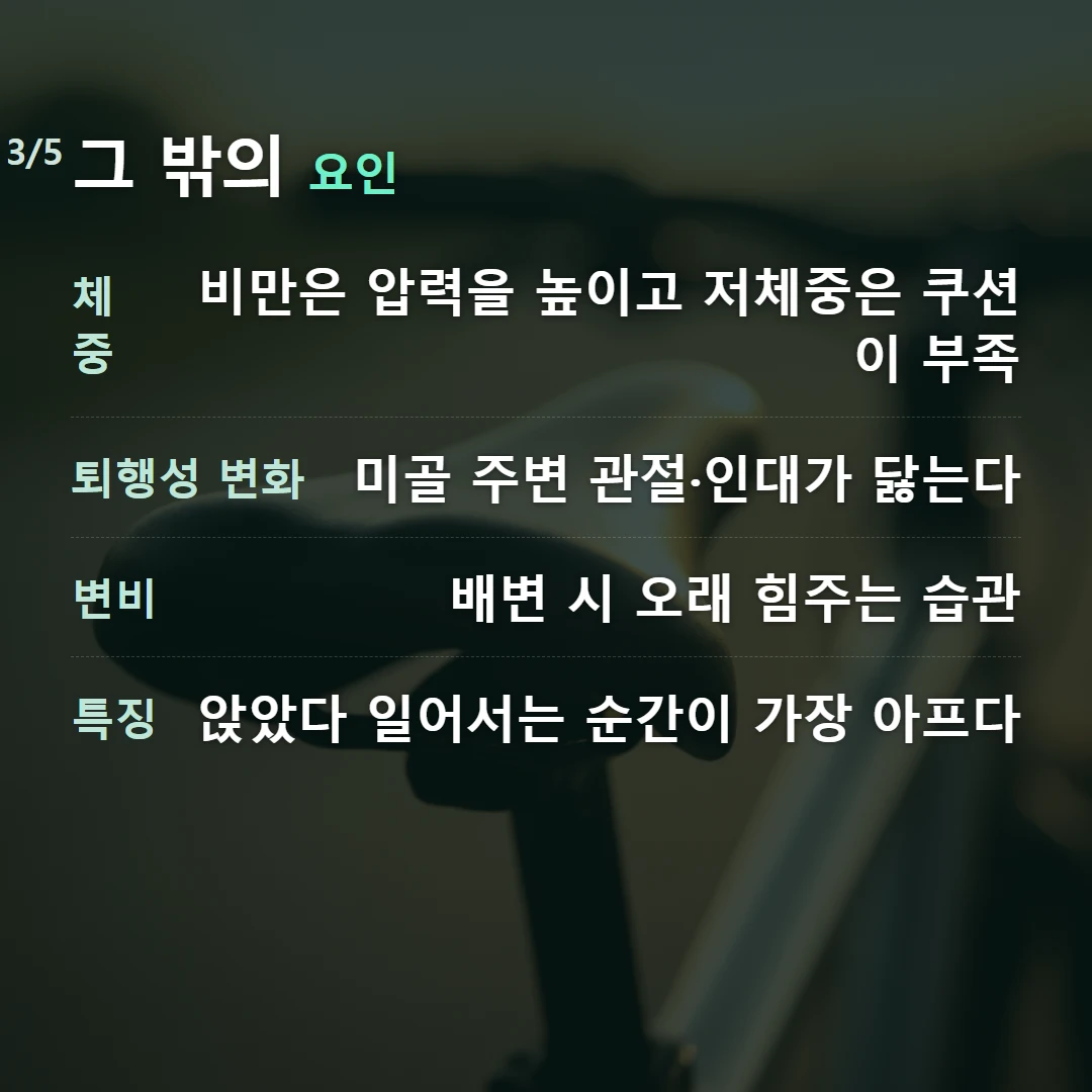 그 밖의 요인 — 체중 비만은 압력을 높이고 저체중은 쿠션이 부족, 퇴행성 변화 미골 주변 관절·인대가 닳는다, 변비 배변 시 오래 힘주는 습관, 특징 앉았다 일어서는 순간이 가장 아프다