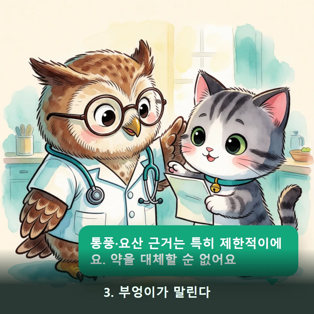 웹툰 3컷 — 3. 부엉이가 말린다 (통풍·요산 근거는 특히 제한적이에요. 약을 대체할 순 없어요)