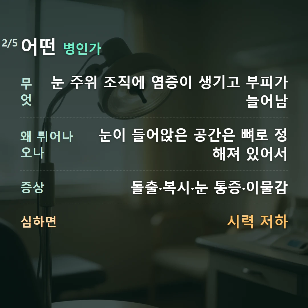 어떤 병인가 — 무엇 눈 주위 조직에 염증이 생기고 부피가 늘어남, 왜 튀어나오나 눈이 들어앉은 공간은 뼈로 정해져 있어서, 증상 돌출·복시·눈 통증·이물감, 심하면 시력 저하