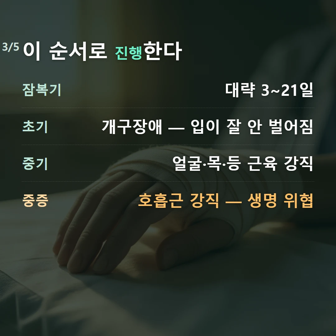 이 순서로 진행한다 — 잠복기 대략 3~21일, 초기 개구장애 — 입이 잘 안 벌어짐, 중기 얼굴·목·등 근육 강직, 중증 호흡근 강직 — 생명 위협