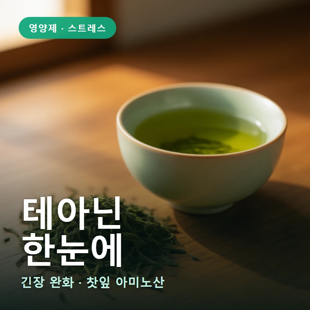 테아닌 요약 표지 — 긴장 완화 · 찻잎 아미노산