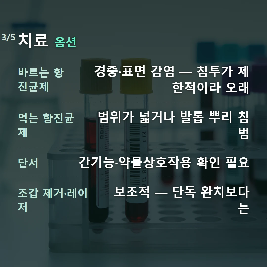 치료 옵션 — 바르는 항진균제 경증·표면 감염 — 침투가 제한적이라 오래, 먹는 항진균제 범위가 넓거나 발톱 뿌리 침범, 단서 간기능·약물상호작용 확인 필요, 조갑 제거·레이저 보조적 — 단독 완치보다는