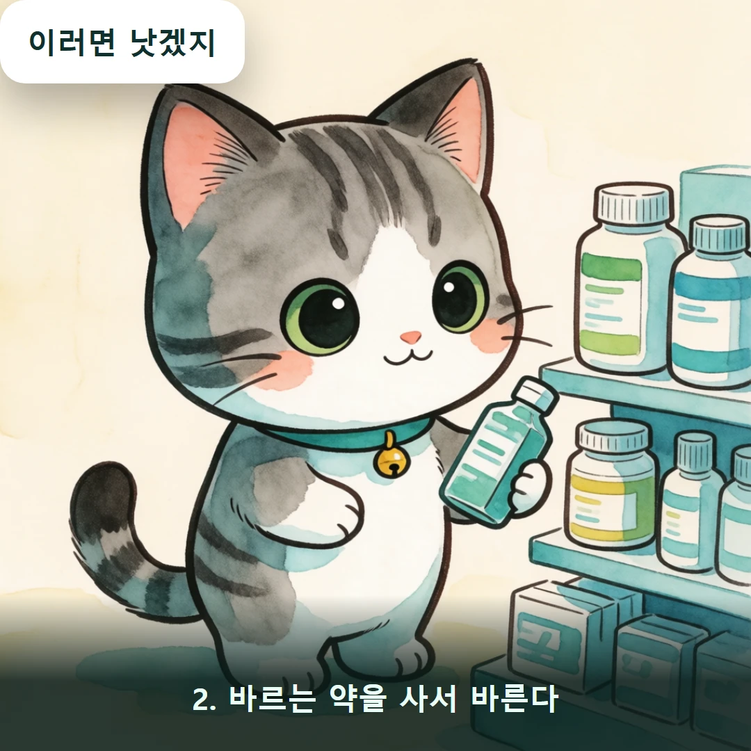 웹툰 2컷 — 2. 바르는 약을 사서 바른다 (이러면 낫겠지)