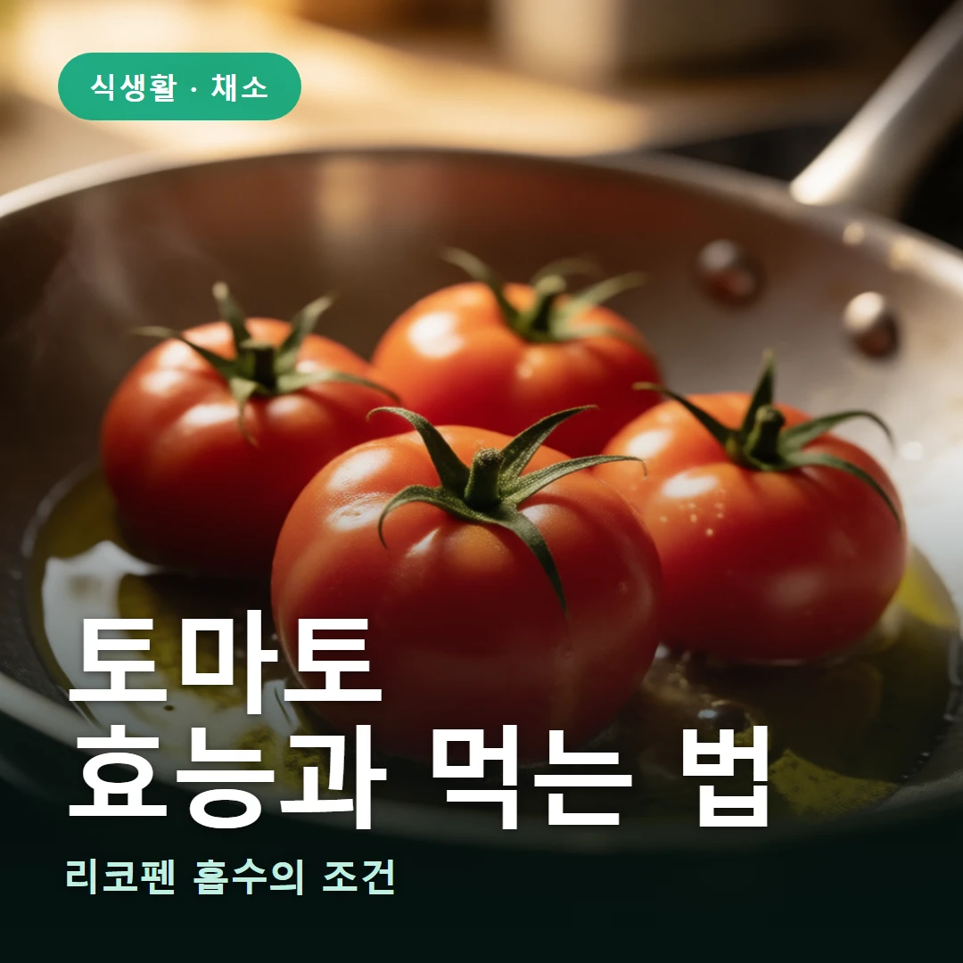 토마토 요약 표지 — 리코펜 흡수의 조건