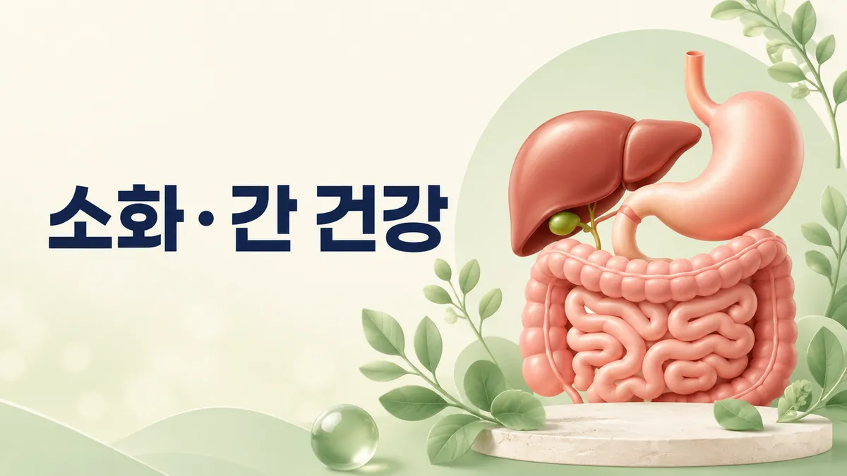 소화·간 건강