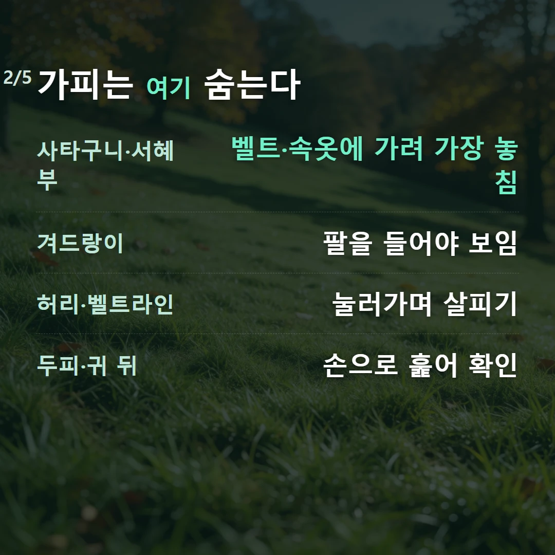 가피는 여기 숨는다 — 사타구니·서혜부 벨트·속옷에 가려 가장 놓침, 겨드랑이 팔을 들어야 보임, 허리·벨트라인 눌러가며 살피기, 두피·귀 뒤 손으로 훑어 확인