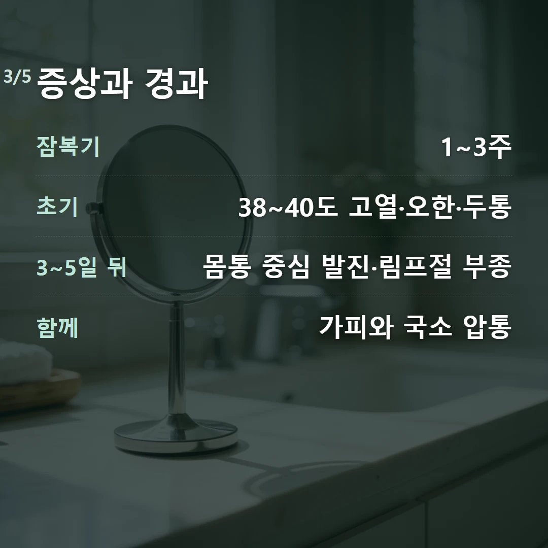 증상과 경과 — 잠복기 1~3주, 초기 38~40도 고열·오한·두통, 3~5일 뒤 몸통 중심 발진·림프절 부종, 함께 가피와 국소 압통