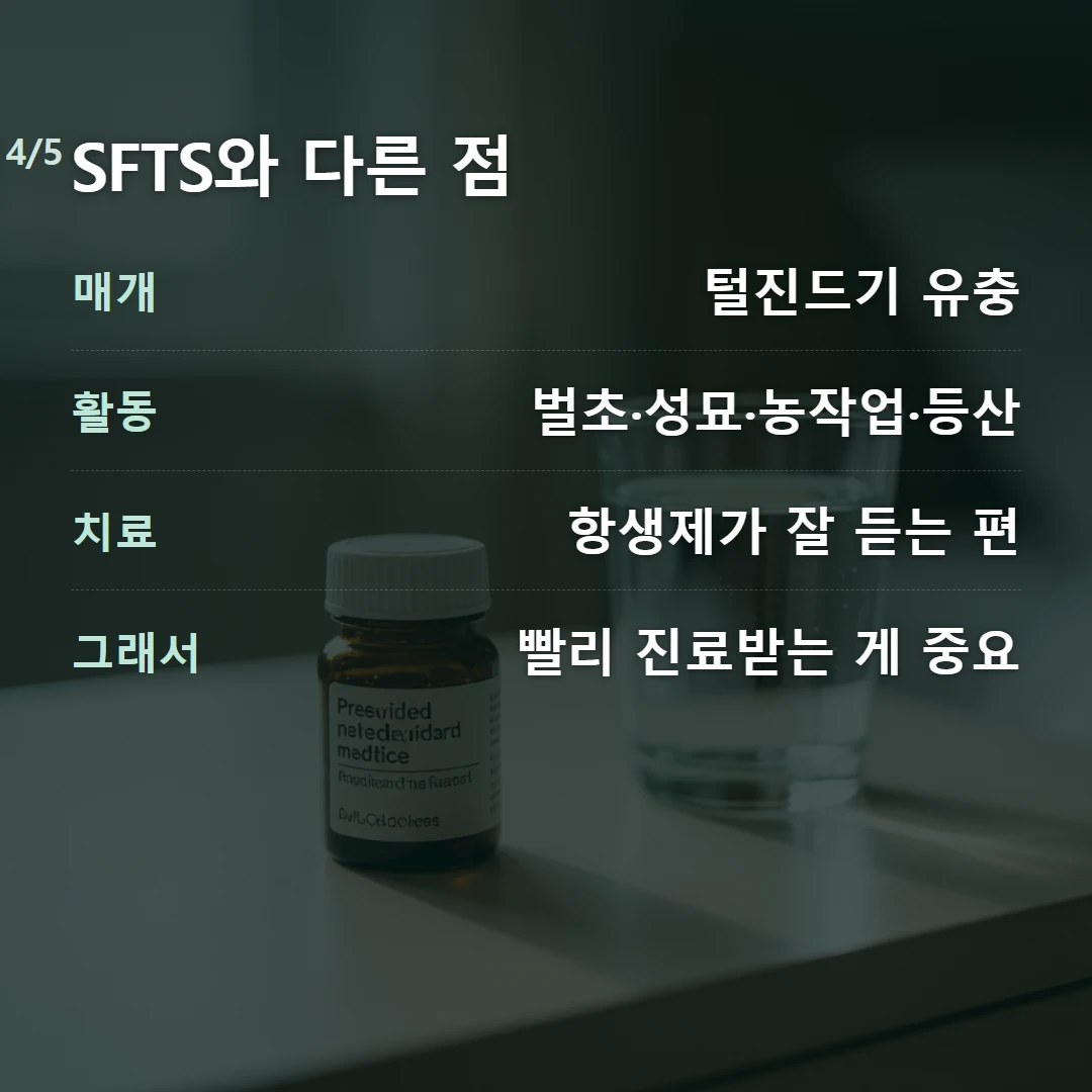 SFTS와 다른 점 — 매개 털진드기 유충, 활동 벌초·성묘·농작업·등산, 치료 항생제가 잘 듣는 편, 그래서 빨리 진료받는 게 중요